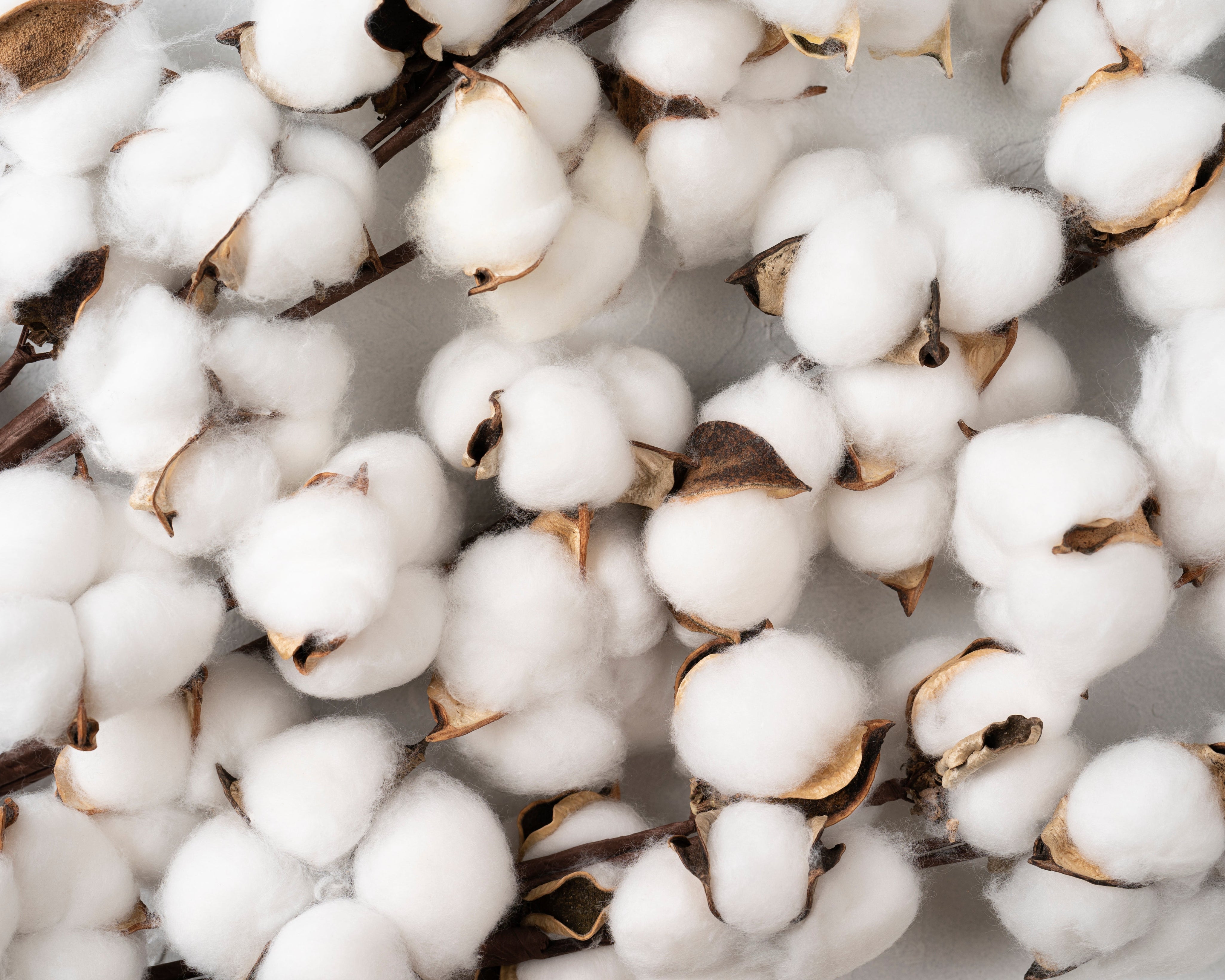 Materials Spotlight: What Makes Our Fabrics Sustainable?